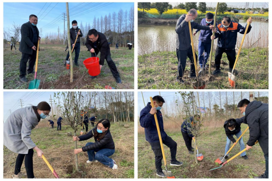 交通產(chǎn)業(yè)集團(tuán)如皋港板塊開展“春風(fēng)又綠江岸，綠色發(fā)展同行”主題黨日活動(dòng)
